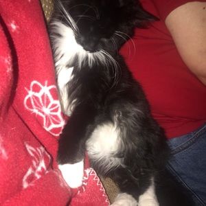 Meet your Posher, Miriam